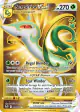 Serperior VSTAR 210/195 Rare Secret card from Silver Tempest