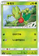 Treecko 002/096 Common card from Sky-Splitting Charisma (Japanese)