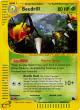 Beedrill H4/H32 Rare Holo card from Skyridge