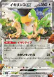 Squawkabilly ex 065/071 Double Rare card from Snow Hazard (Japanese)