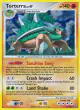Torterra 11/100 Rare Holo card from Stormfront