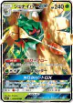 Decidueye-GX 003/051 Double Rare card from Strength Expansion Pack Sun & Moon (Japanese)