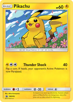 Pikachu SM206 Promo card from Sun & Moon Black Star Promos