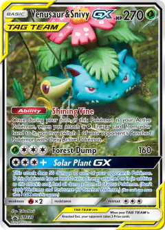 Venusaur & Snivy-GX SM229 Promo card from Sun & Moon Black Star Promos