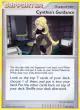 Cynthia's Guidance 136/147 Uncommon card from Supreme Victors