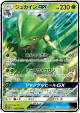 Sceptile-GX 010/173 Double Rare card from TAG TEAM GX: Tag All Stars (Japanese)