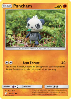 Pancham 81/181 Common card from Team Up