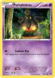 Pumpkaboo 56/146 Common card from XY Base