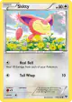 Skitty 104/146 Common card from XY Base