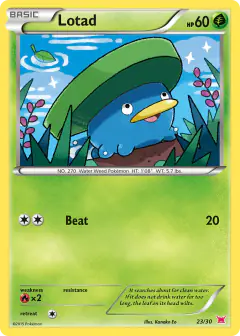 Lotad 23/30 Common card from XY Trainer Kit Latias