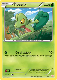 Treecko 24/30 Common card from XY Trainer Kit Latias