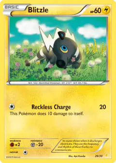Blitzle 26/30 Common card from XY Trainer Kit Pikachu Libre