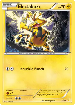Electabuzz 23/30 Common card from XY Trainer Kit Pikachu Libre