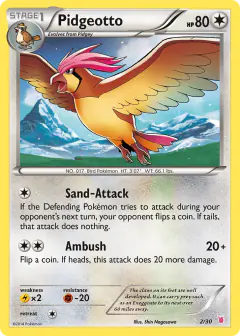 Pidgeotto 2/30 Common card from XY Trainer Kit Wigglytuff