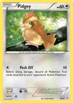 Pidgey 29/30 Common card from XY Trainer Kit Wigglytuff