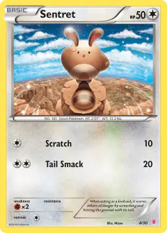Sentret 4/30 Common card from XY Trainer Kit Wigglytuff